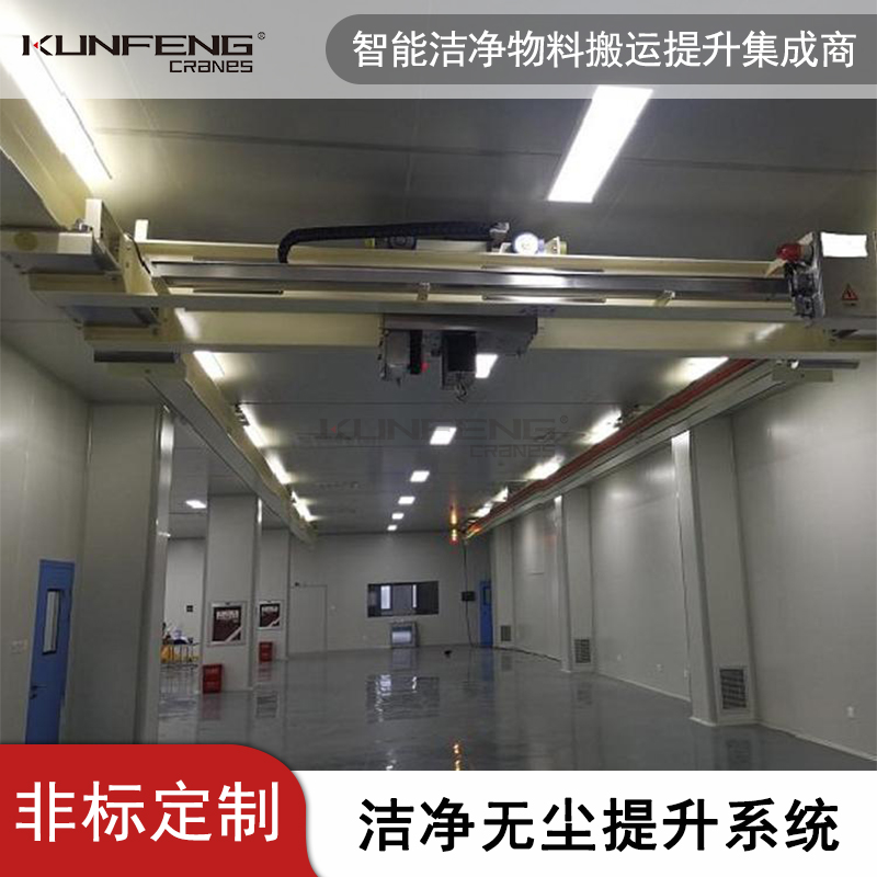 无尘室双梁悬挂起重机