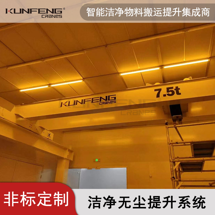 集成电路新材料碳化硅厂房洁净行车